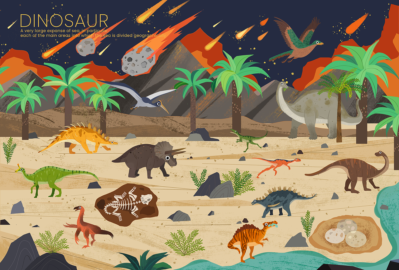 站酷十年,画出了21本书