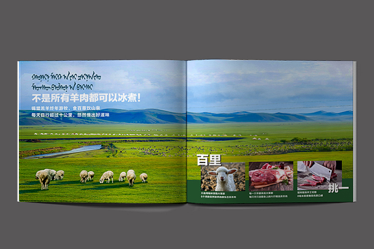 太原菜谱设计——泽成冰煮羊（图ZMjA1OTUwODQ4） - 书籍/画册 - 站酷设计师颜良品牌全案设计原创素材 - 站酷ZCOOL