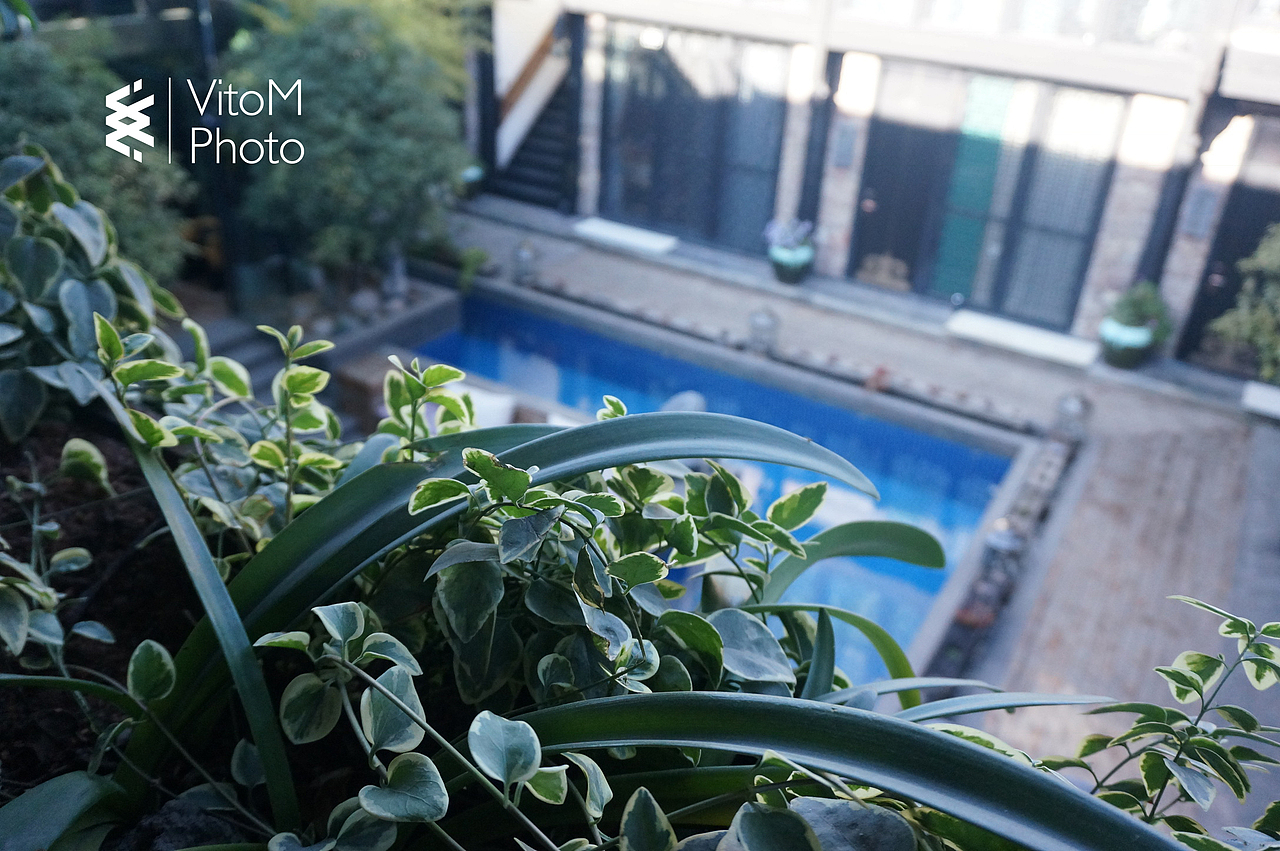 VitoM-个人摄影集1