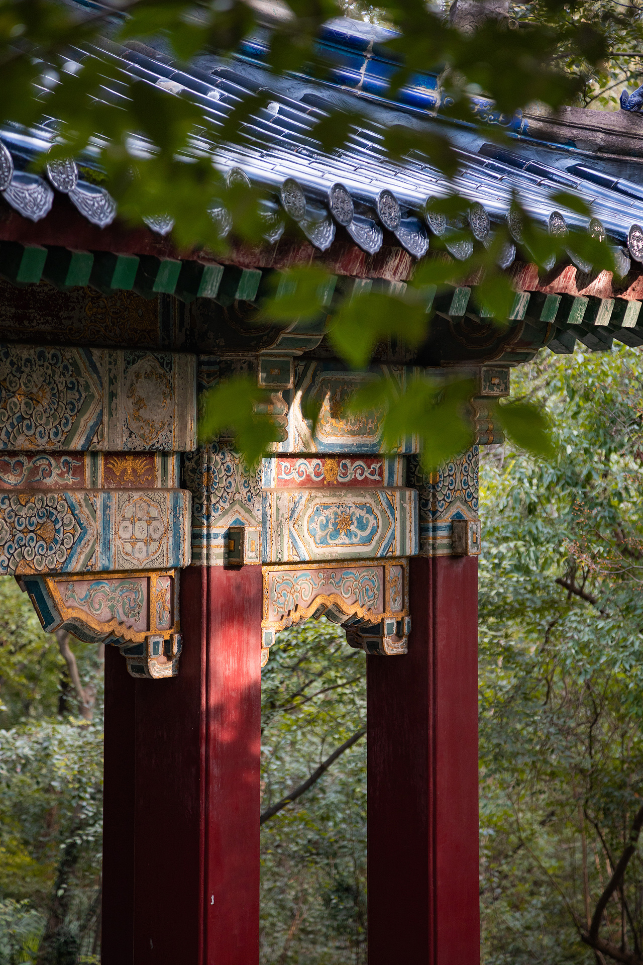 日影飞去｜初秋·南京（图ZMjc1MzM5OTA0） - 人文/纪实摄影 - 站酷设计师怦怦Chen原创素材 - 站酷ZCOOL
