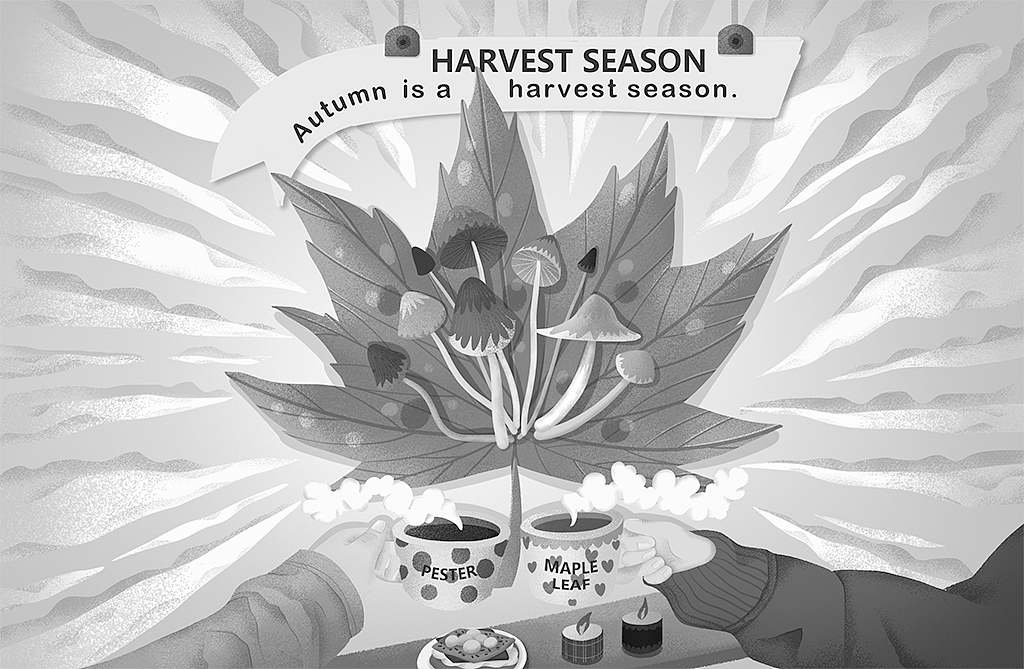 Harvest season