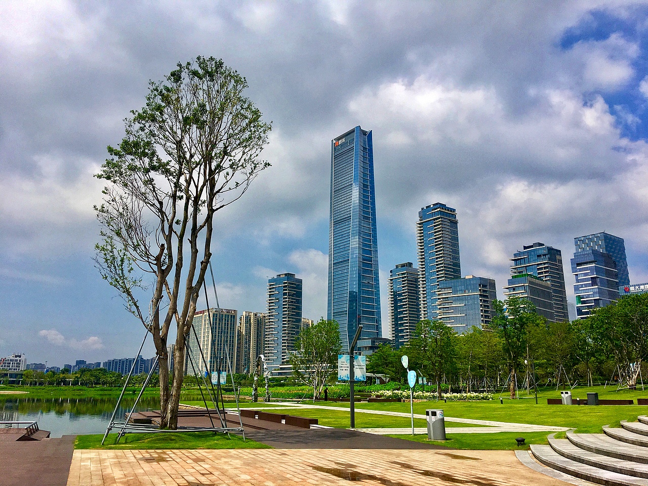 夏至已至夏已深