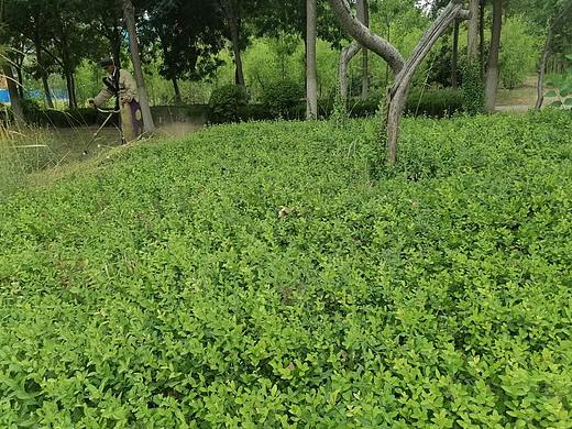 占坑（個人主頁-ZNjAzMTIwNDQ=） - 海報 - 站酷設(shè)計師Z03250257原創(chuàng)素材 - 站酷ZCOOL