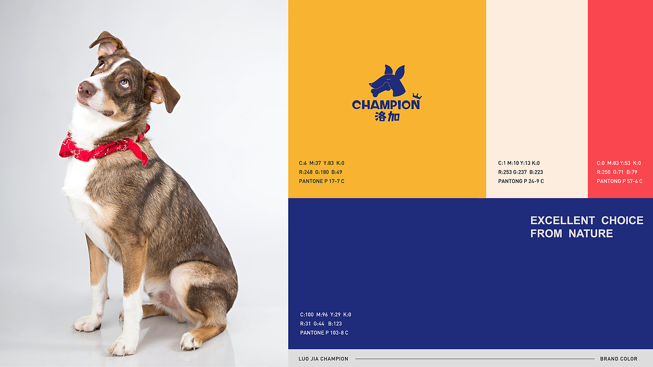 《洛加CHAMPION》狗粮品牌设计（图ZMjg1MDc1Mjg0） - 品牌 - 站酷设计师caix_原创素材 - 站酷ZCOOL