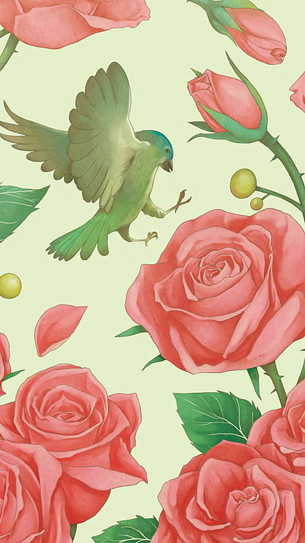 花鸟系列（图ZMjQ1NzQ4NzI=） - 商业插画 - 站酷设计师蔡一昕原创素材 - 站酷ZCOOL