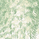 狂暴吉他手的头像
