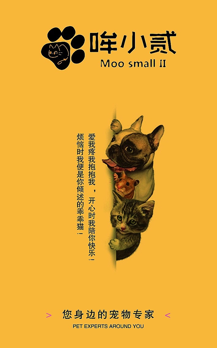 哞小贰宠物猫店