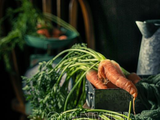 胡萝卜复古风练习