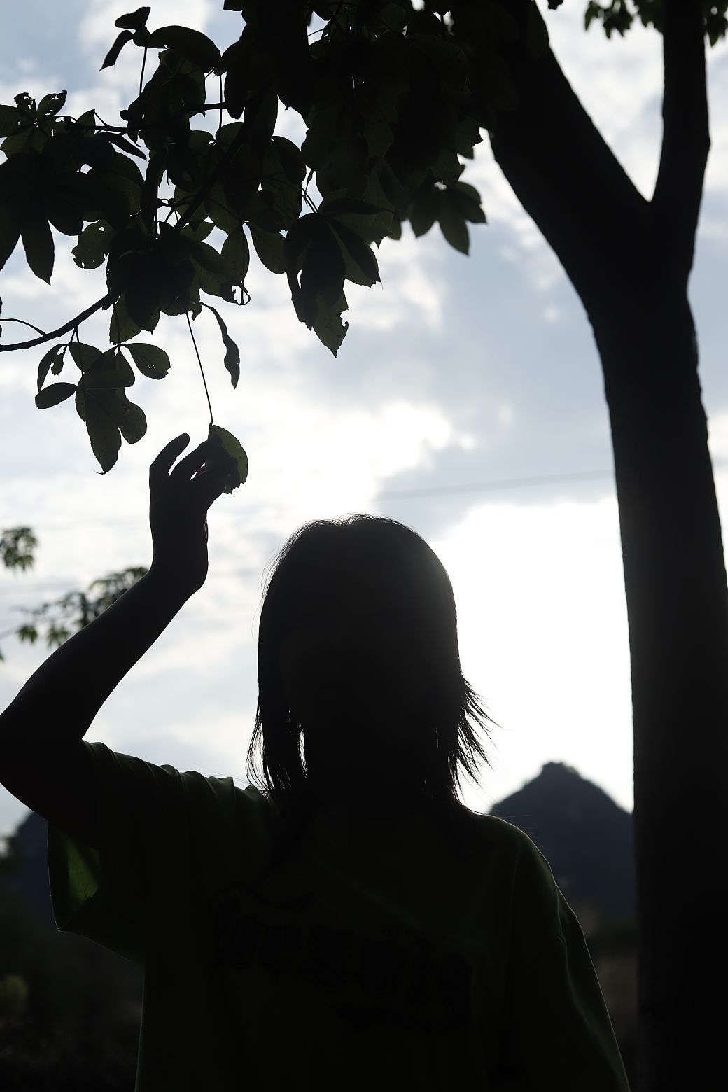 散心☆做了阶段性的决定,