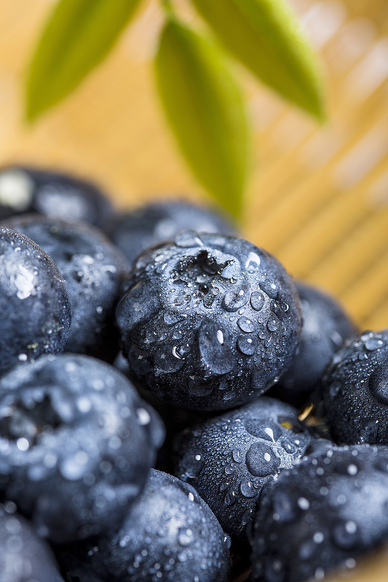 蓝莓样片拍摄|九零微文化