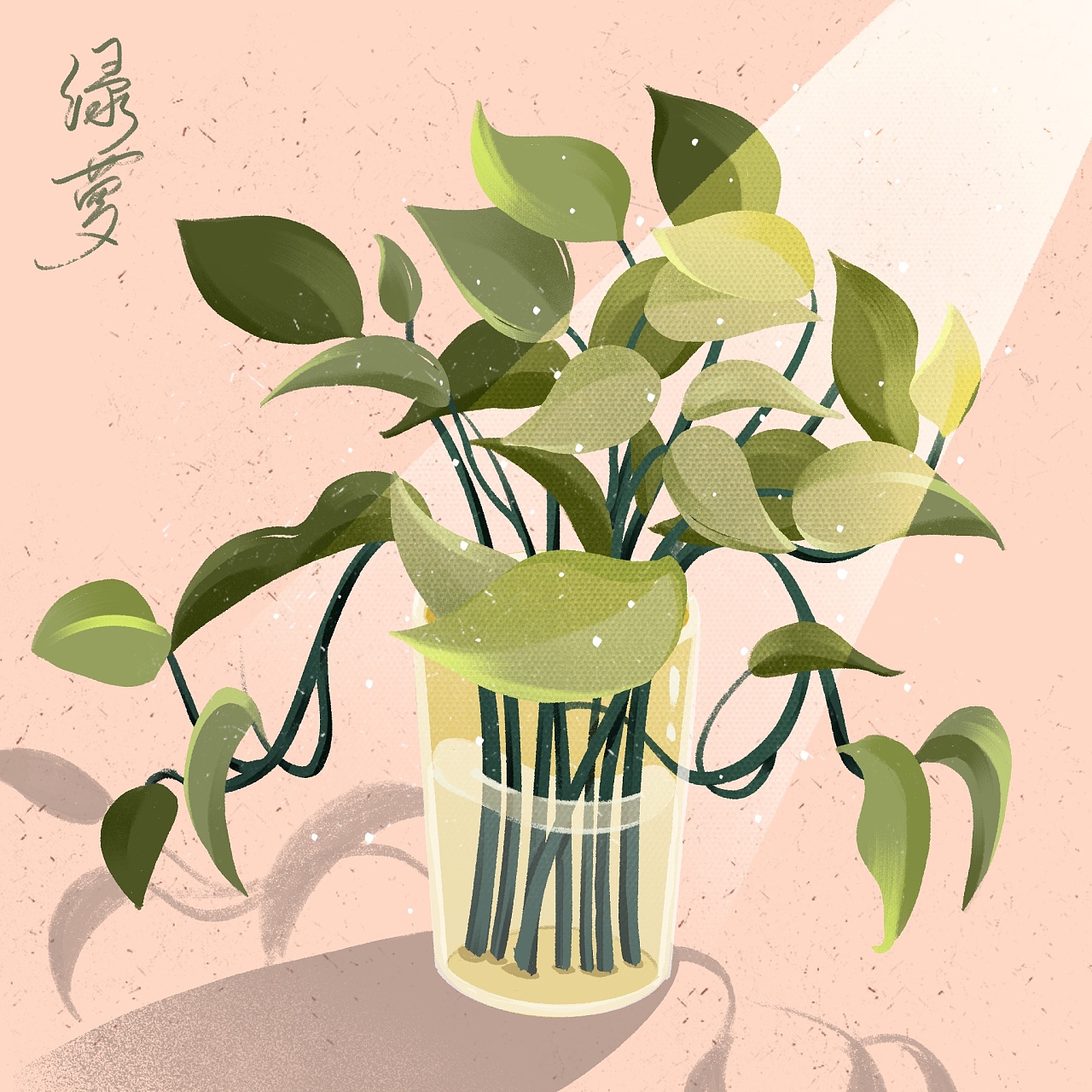 床头的绿萝|插画|创作习作|zhaobuyu - 原创作品 - 站酷 (zcool)