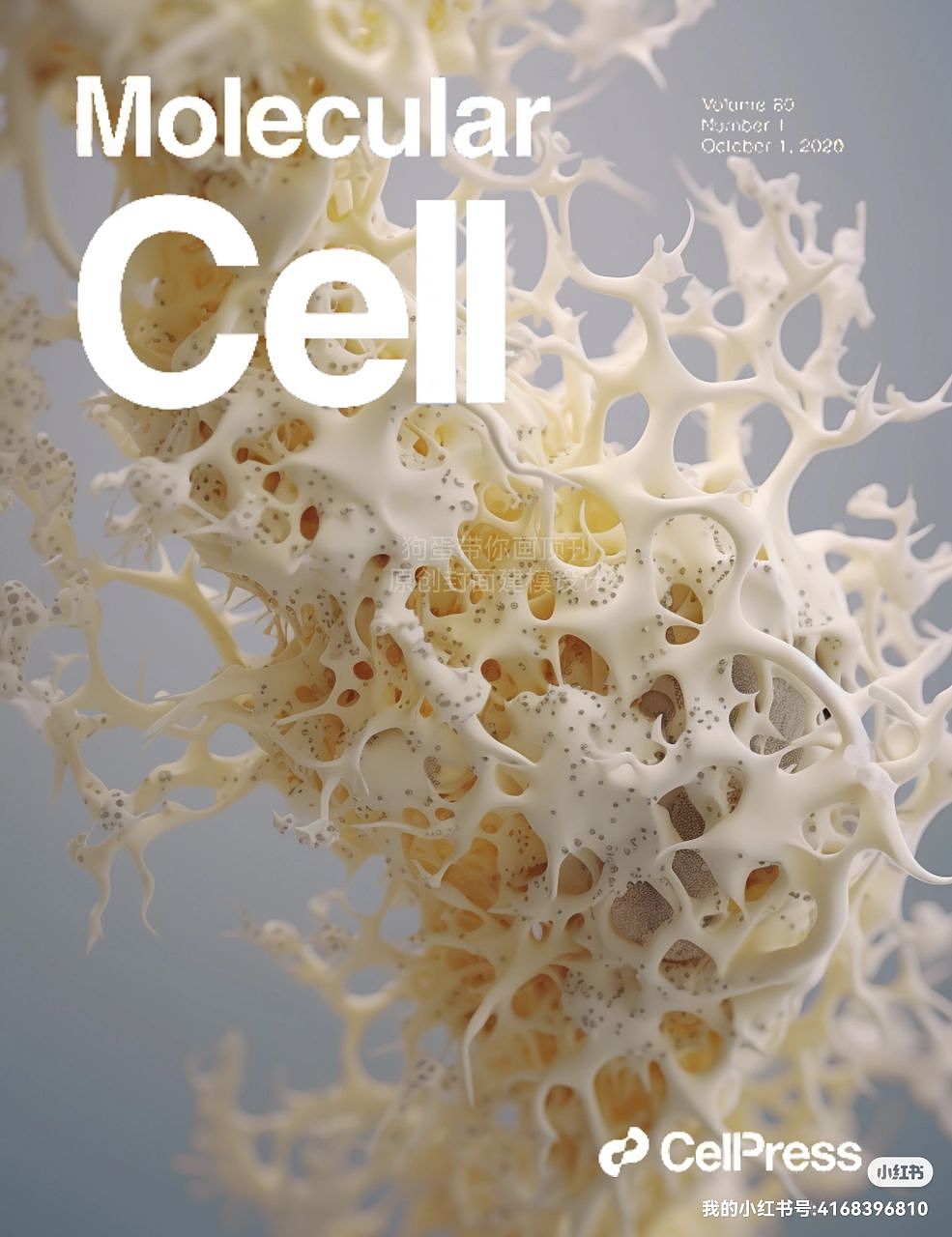 此文章插图由抖音up主:狗蛋带你画顶刊 团队绘制