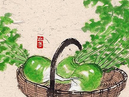 蔬菜版二十四节气 冬