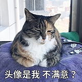 咩蛙的头像