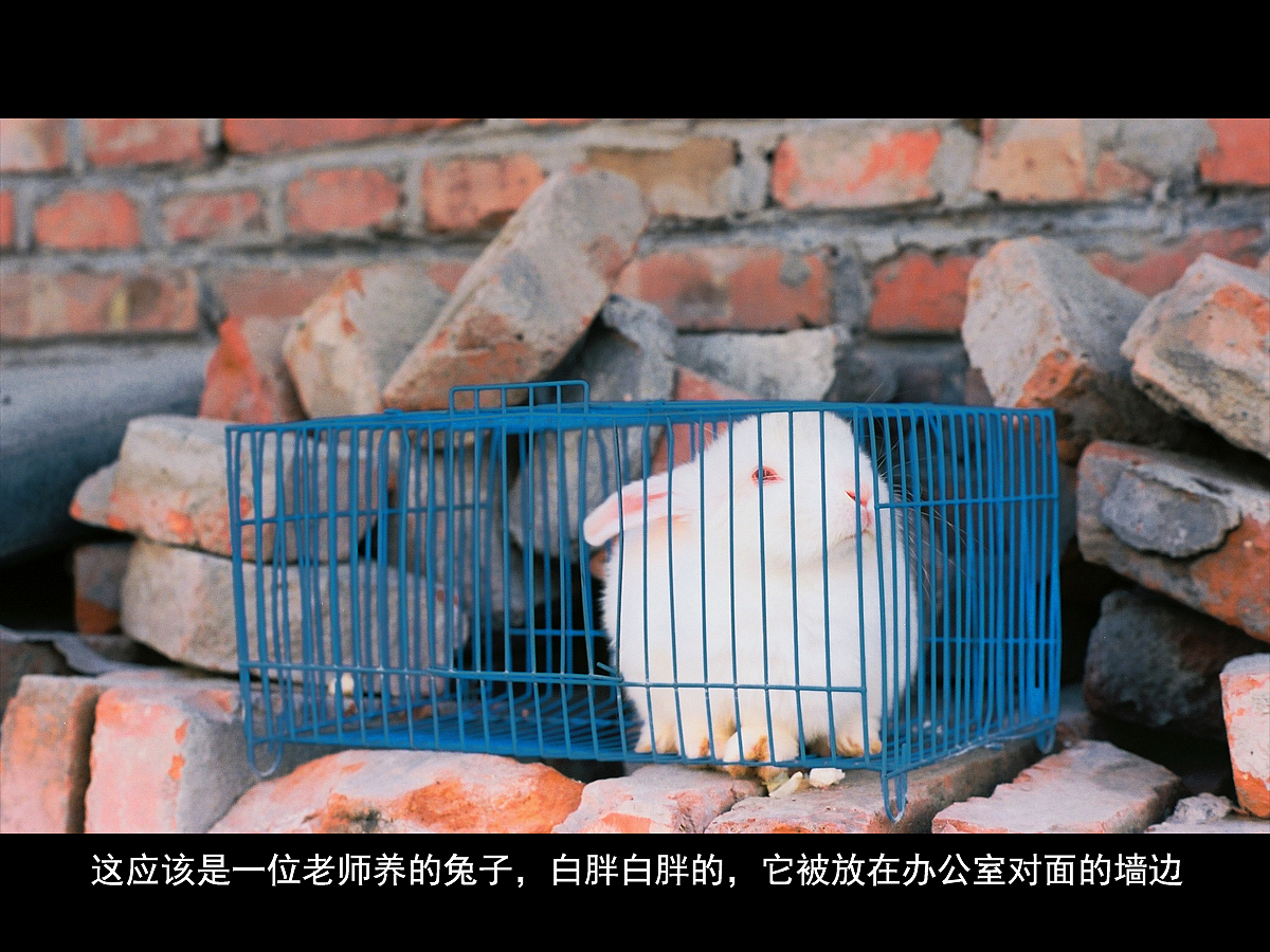 胶片摄影｜一次关于志愿者的回忆（图ZMjk0OTQ1MTE2） - 人文/纪实摄影 - 站酷设计师刘小川原创素材 - 站酷ZCOOL