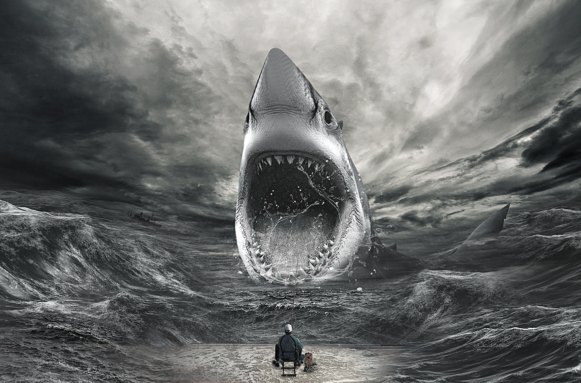 鲨鱼合成海报