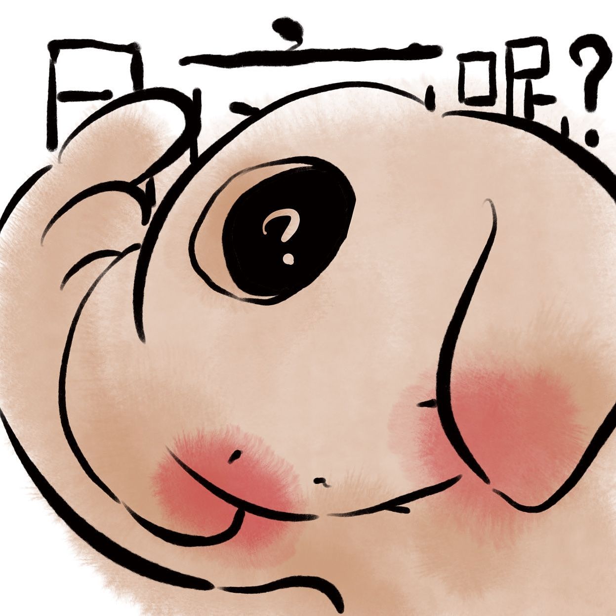 題问小狗表情包