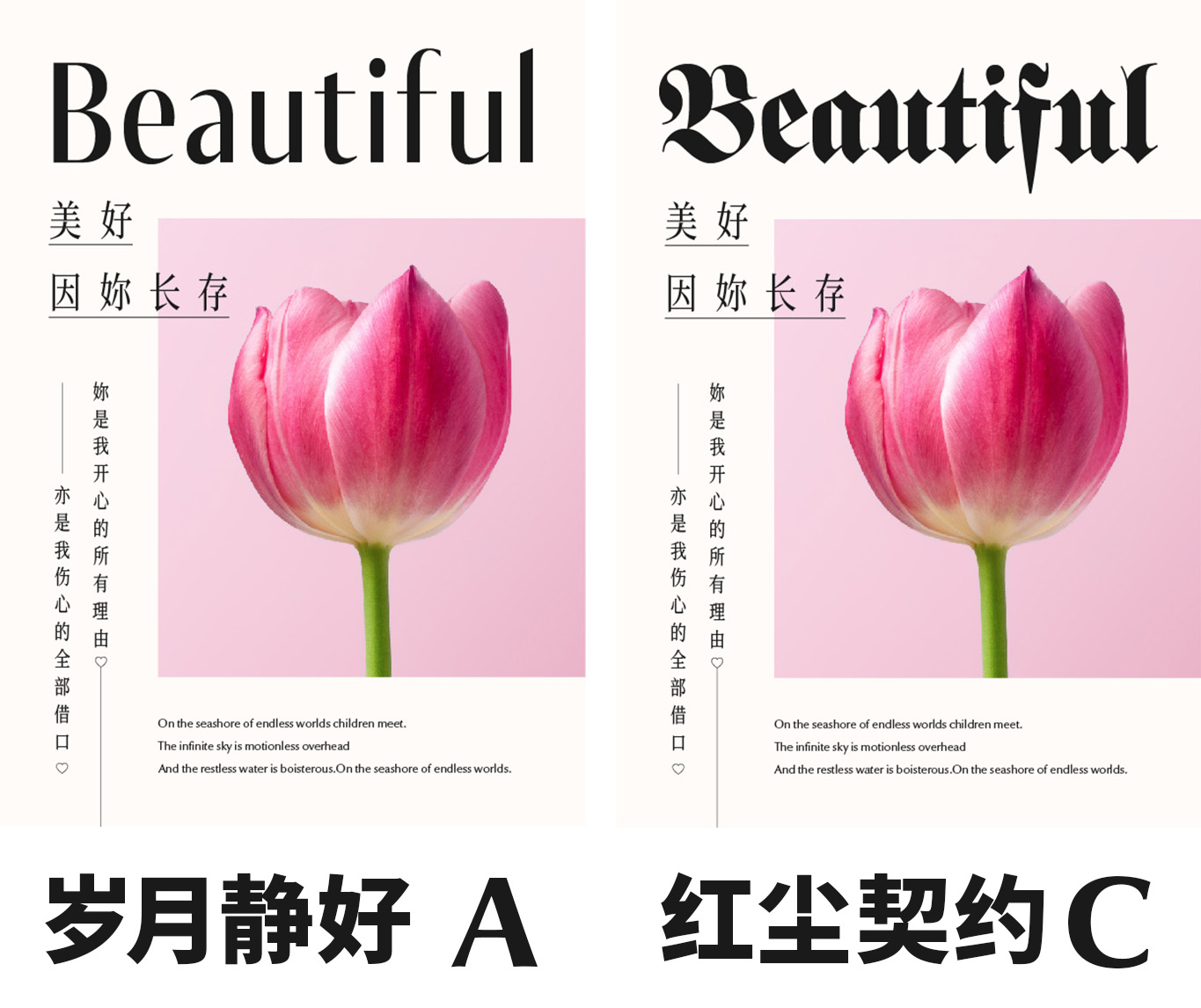 排版《玉女心经》之字我感受(中篇)