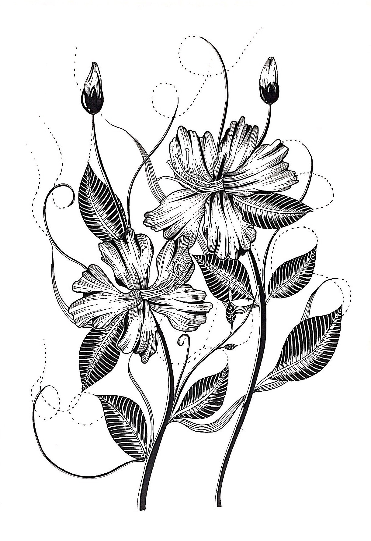 植物构成黑白画图片
