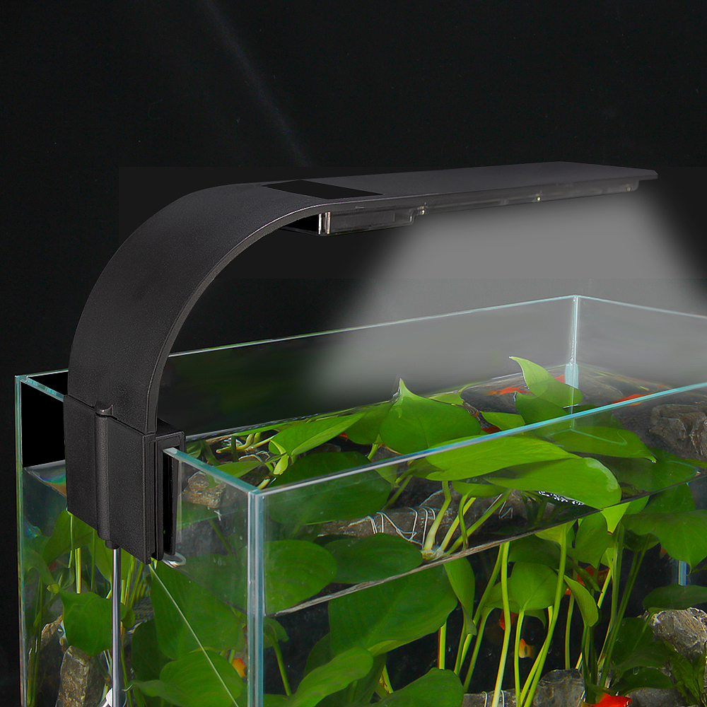 水族鱼缸夹灯作品（图ZMjA2MTE2MjY4） - 产品摄影 - 站酷设计师邓欣荣原创素材 - 站酷ZCOOL