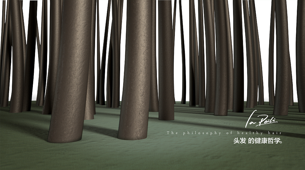 头发的自我修养-拉蓓莉