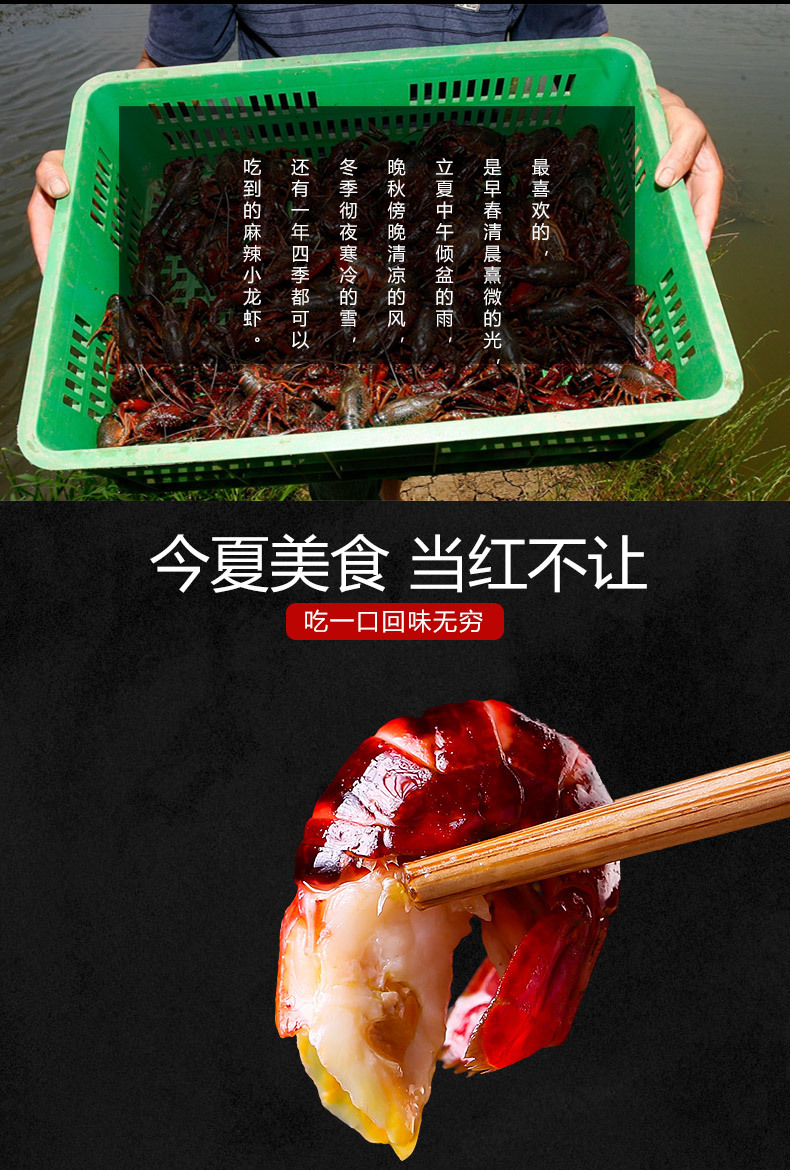 生鲜小龙虾详情页