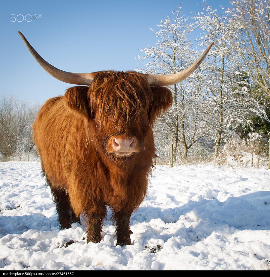 kncs（圖ZOTAyODE1MDg=） - 其他UI - 站酷設(shè)計師陪伴到永遠原創(chuàng)素材 - 站酷ZCOOL