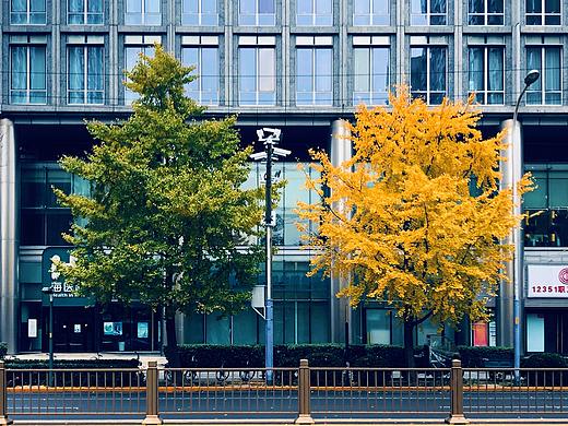 一个像夏天,一个像秋天