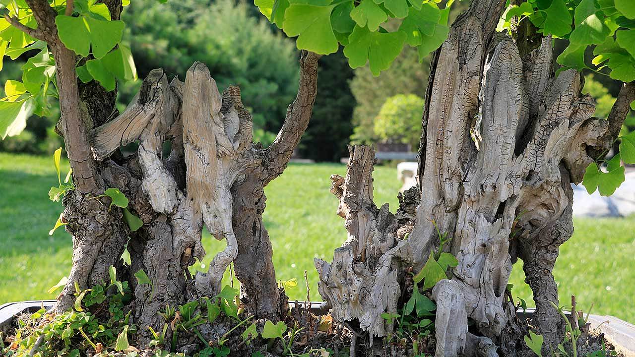 植物园（图ZODQ1ODM0MzY=） - 风光摄影 - 站酷设计师mohong原创素材 - 站酷ZCOOL