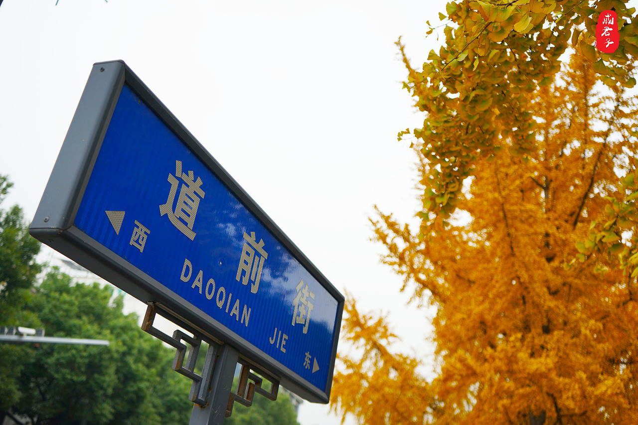 秋叶之『道前街』（图ZMTQ3MzE0ODc2） - 风光摄影 - 站酷设计师姓薛了不起啊定饿原创素材 - 站酷ZCOOL