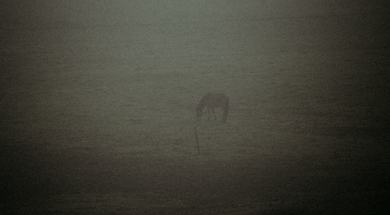 秘境 · 像素甘南（图ZMjY4MzEyNTQ0） - 短片 - 站酷设计师Blackstation影像原创素材 - 站酷ZCOOL