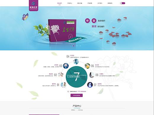 前海元亨网页设计