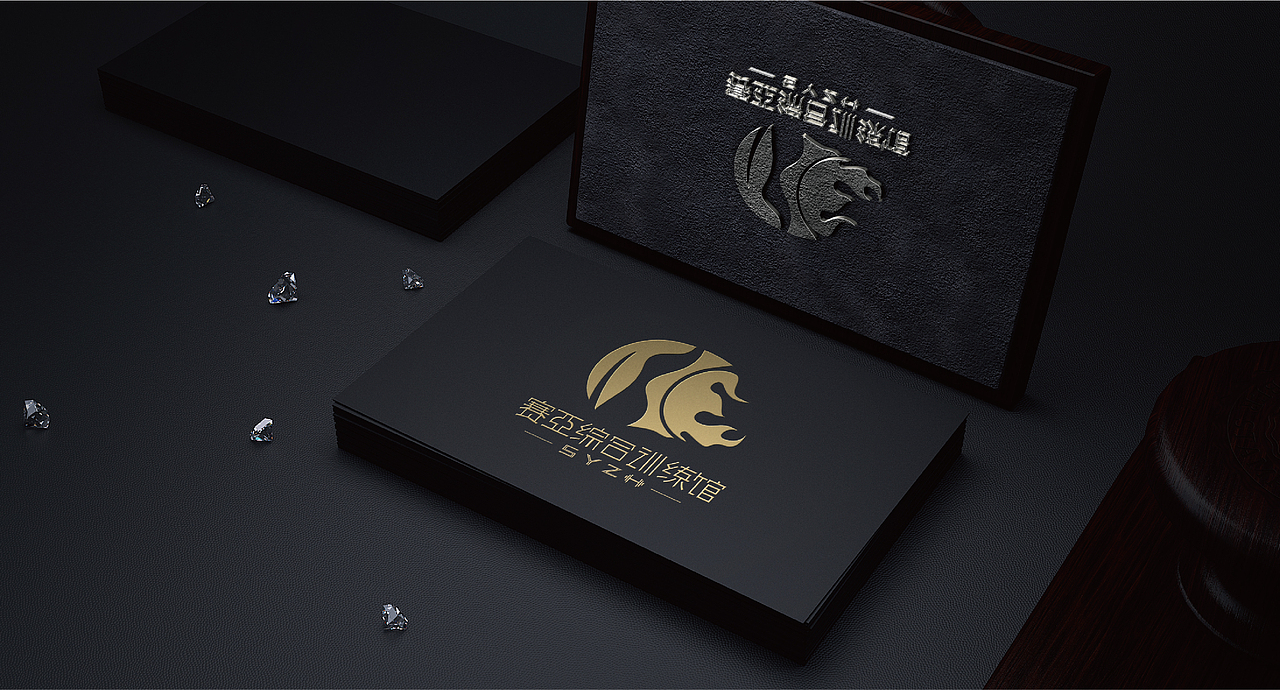 塞亚综合训练馆logo提案