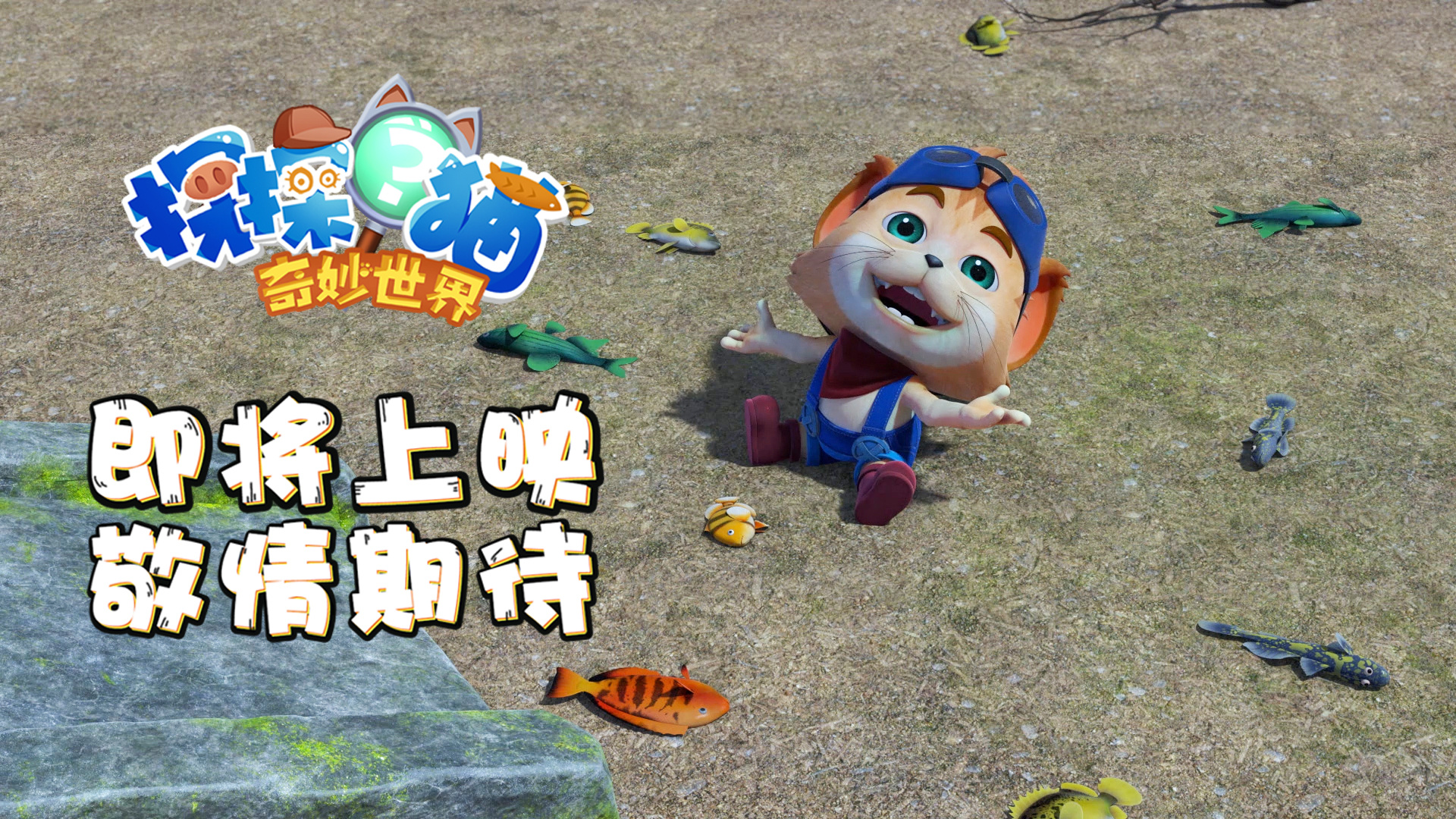 《探探猫奇妙世界》将开播,明天18点我们炫动卡通见!