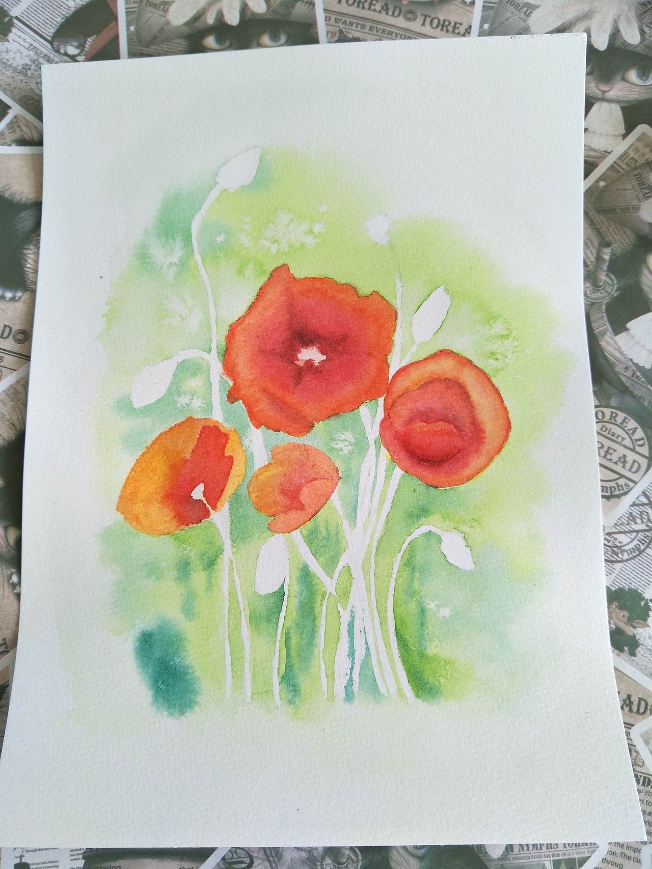 罂粟花（图ZMTI5NDcwODY4） - 创作习作 - 站酷设计师a萱草无忧a原创素材 - 站酷ZCOOL