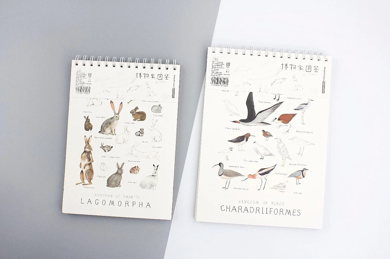 博物学图鉴 (海底生物 菌菇 兔子 鸽子)