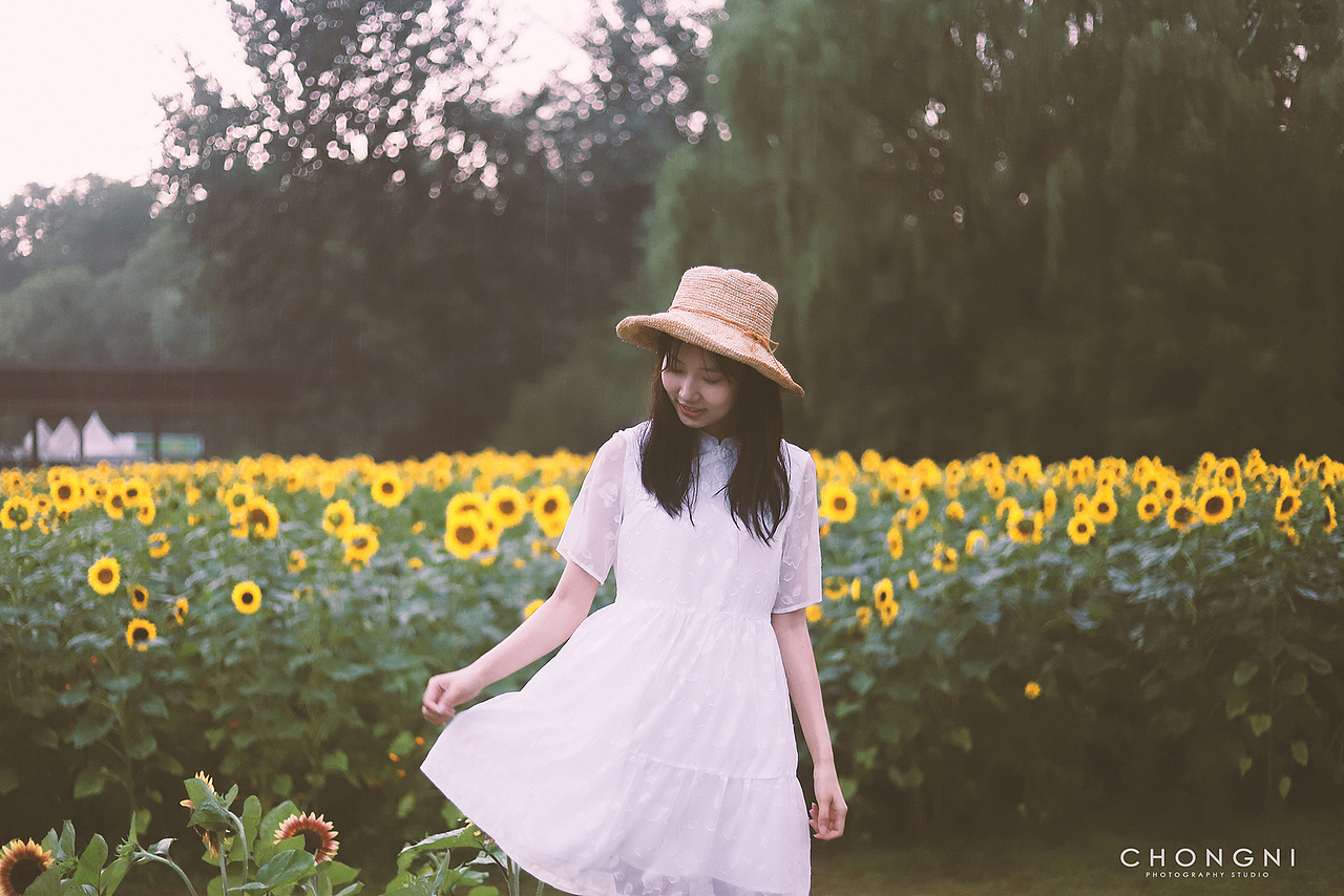 这个季节,向日葵和你一样绽放美丽