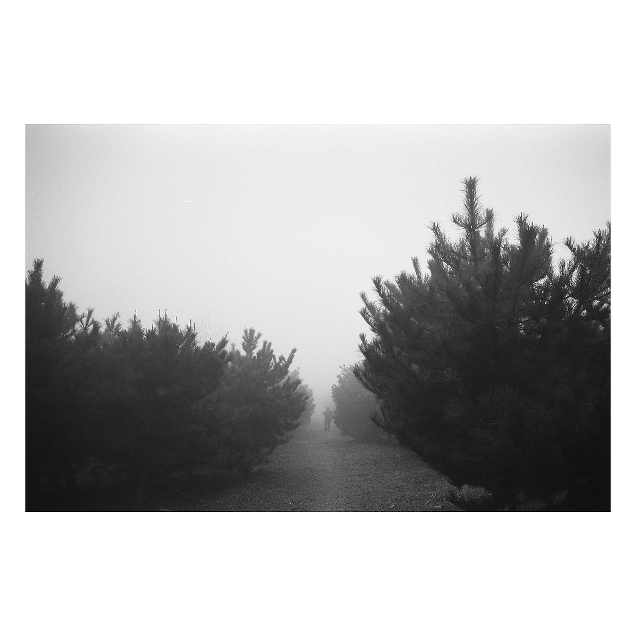 街头胶片摄影｜部分黑白合集 by Leica M6（图ZMjg2Njk0NTEy） - 人文/纪实摄影 - 站酷设计师刘小川原创素材 - 站酷ZCOOL