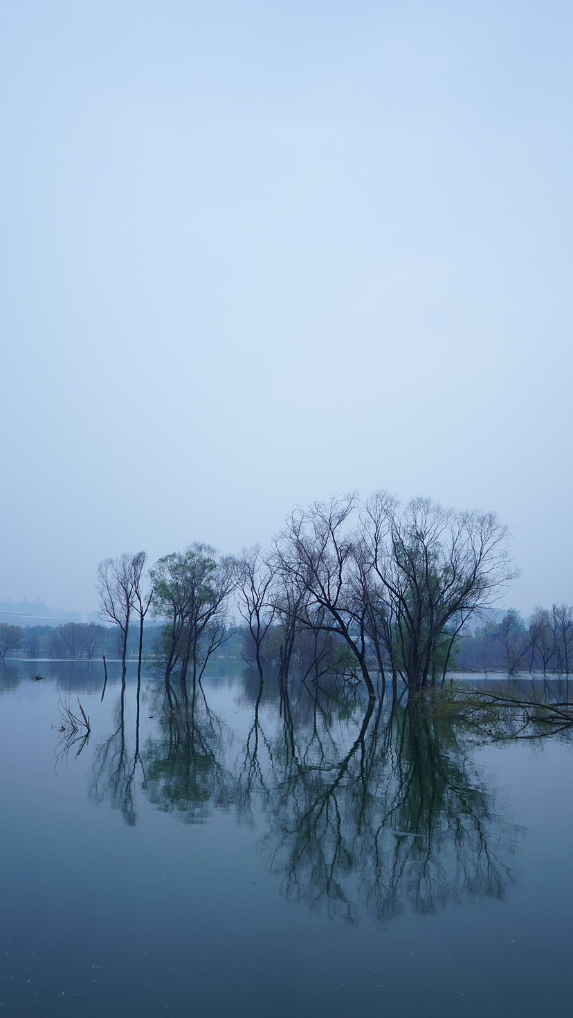 灞河烟柳（图ZMzIxODM2MTA4） - 风光摄影 - 站酷设计师洛书原创素材 - 站酷ZCOOL