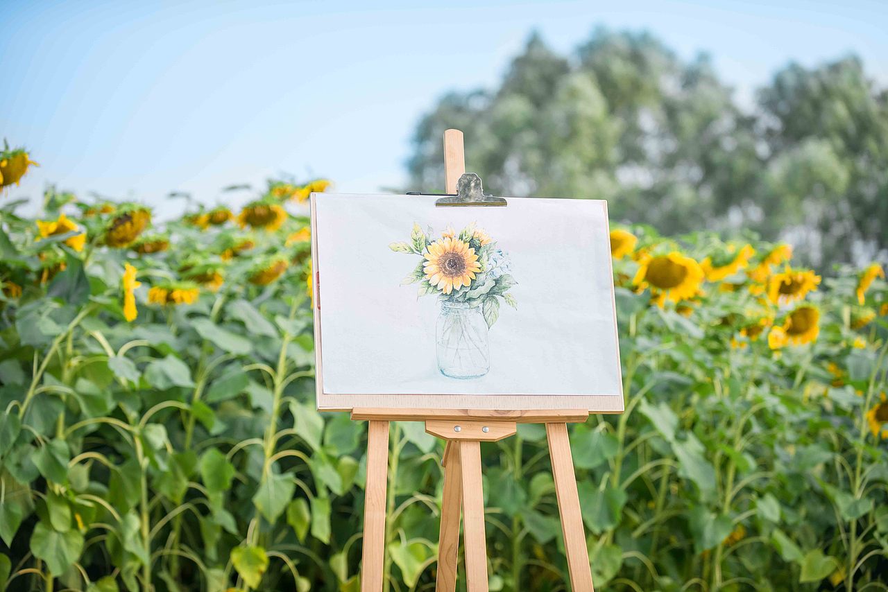 《向日葵的约定》