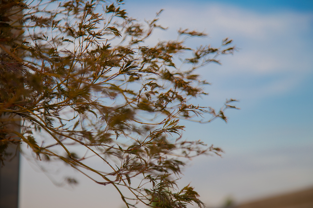 园林景观摄影广告拍摄建筑环境拍摄别墅室内拍照风景