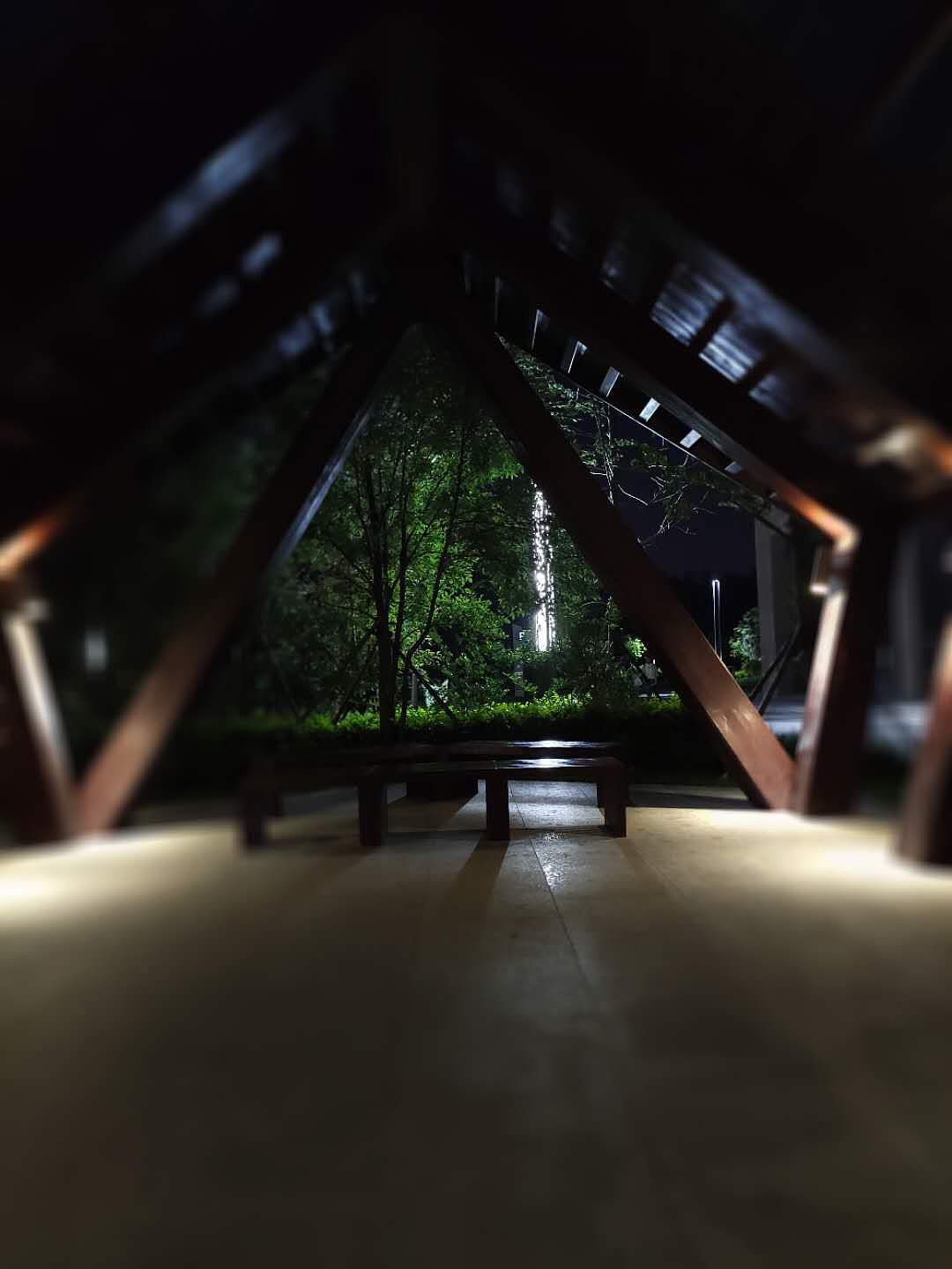 海上公园小夜景