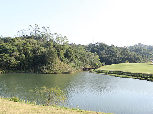 华侨城高尔夫场地摄影 高尔夫球场 高尔夫打球拍摄