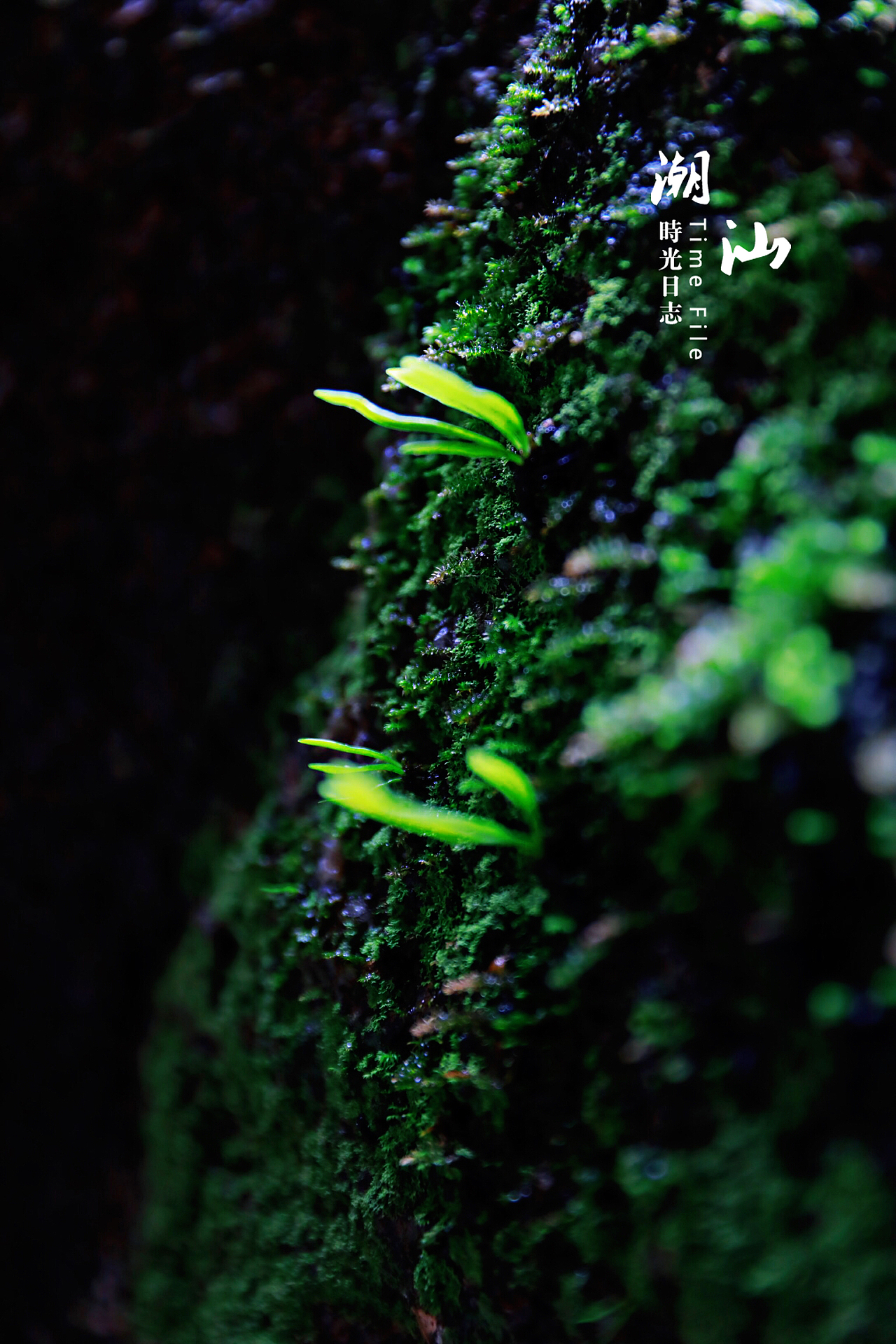 潮汕·印象（图ZMTUyMDA5MzQ0） - 风光摄影 - 站酷设计师朝画夕拾1986原创素材 - 站酷ZCOOL