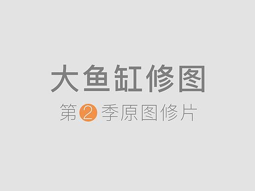 大鱼缸水族箱修图水族器材
