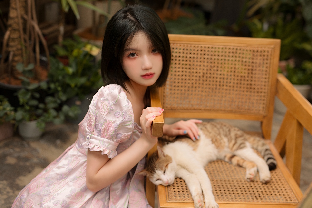 花房猫咪少女（图ZMjYwOTY4NDc2） - 人像摄影 - 站酷设计师三古酱原创素材 - 站酷ZCOOL