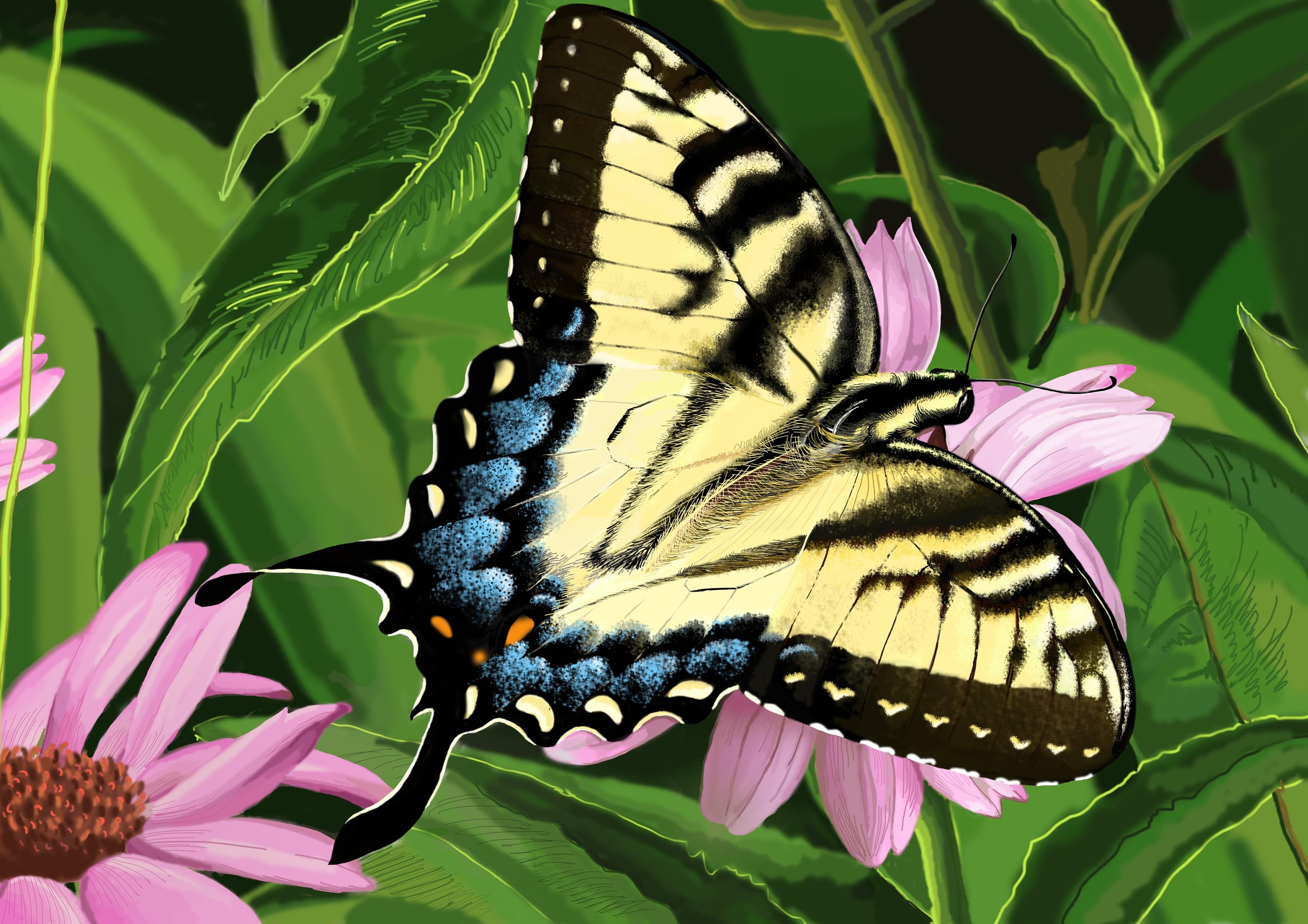 蝴蝶|插画|插画习作|悠游静思 - 原创作品 - 站酷 (zcool)