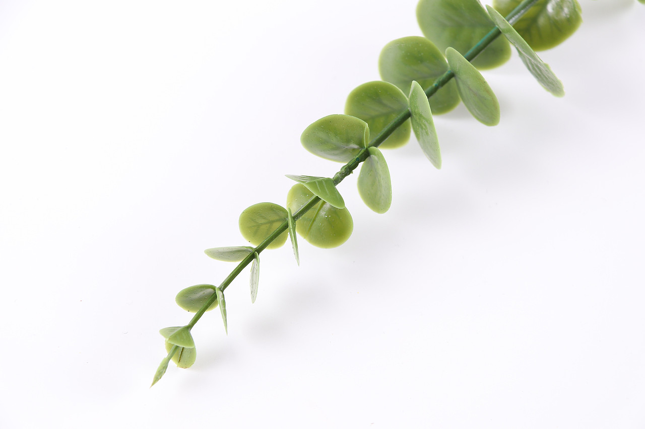 B03家居饰品\C11-仿真饰品\V06仿真尤加利叶X1