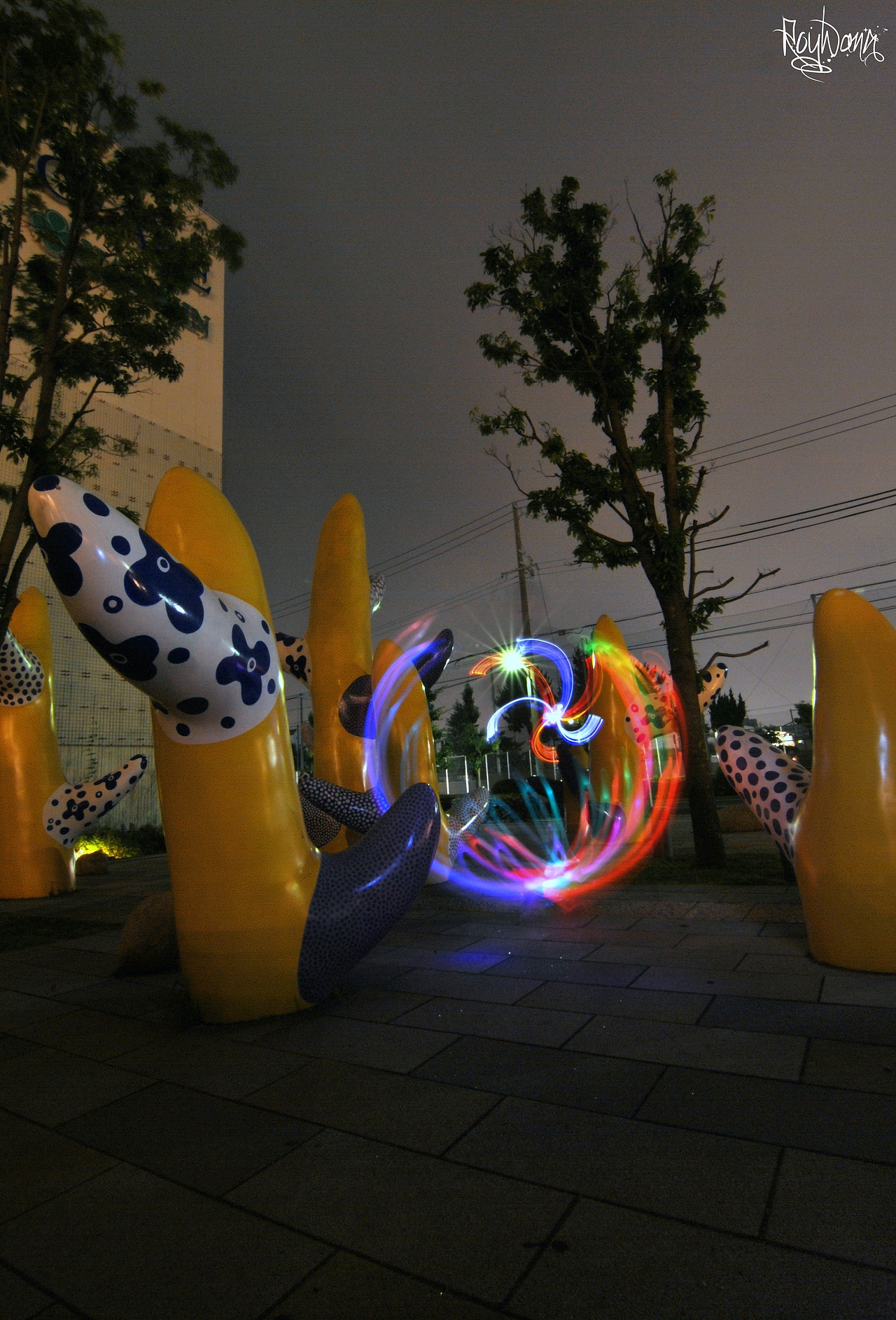 RoyWang 2014年光绘