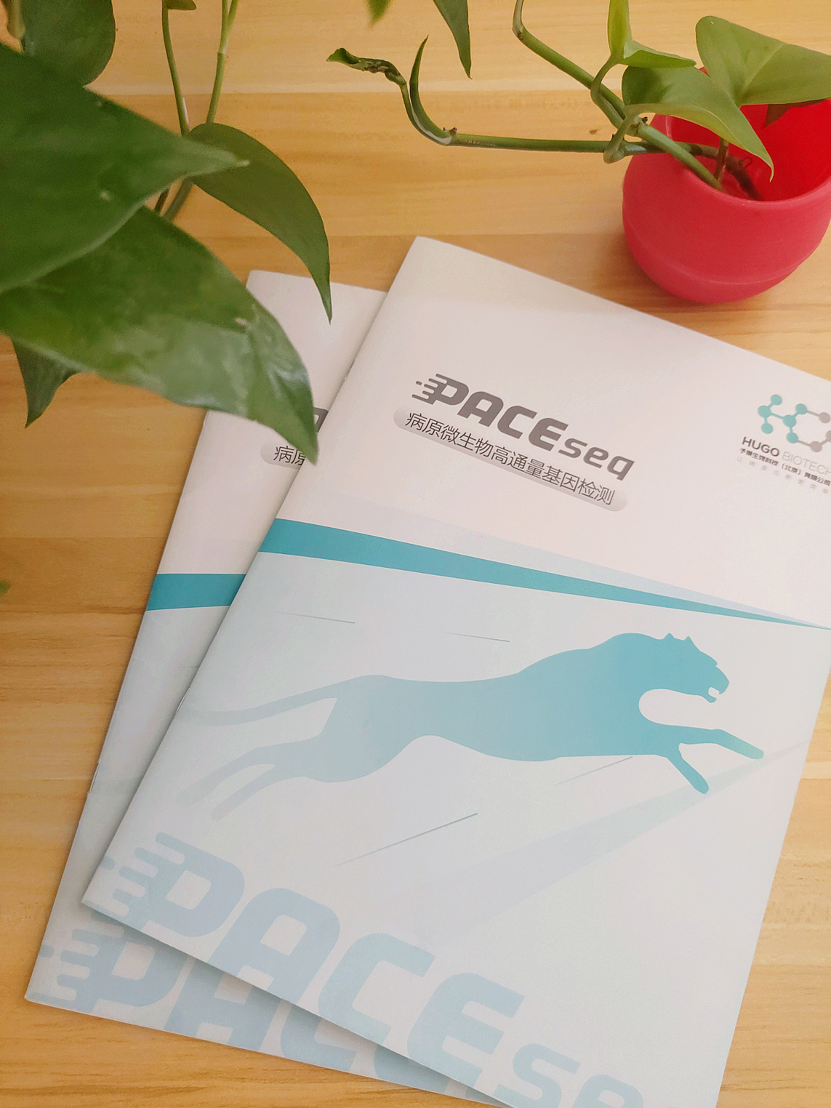 微码生物/画册设计